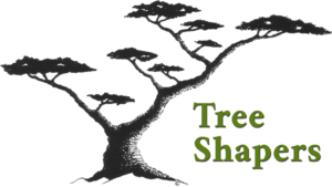 Tree Shapers logo